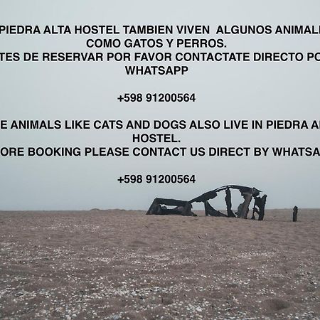 Piedra Alta Hostel & Suites لا بيدريرا المظهر الخارجي الصورة