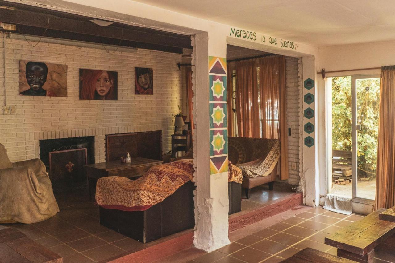 Piedra Alta Hostel & Suites لا بيدريرا المظهر الخارجي الصورة