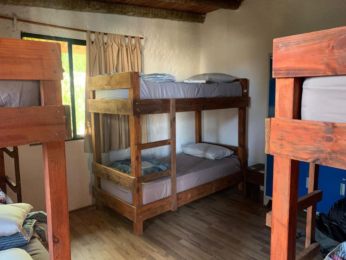Piedra Alta Hostel & Suites لا بيدريرا المظهر الخارجي الصورة