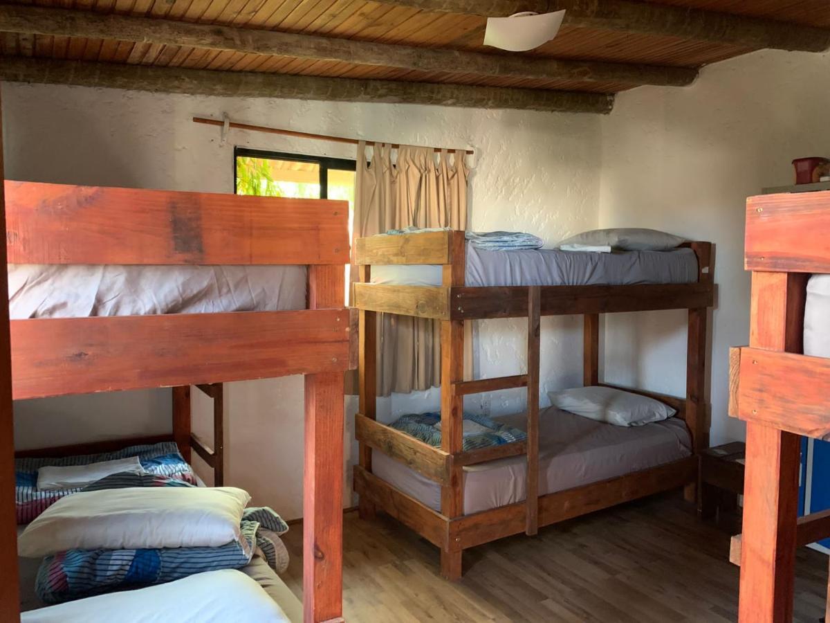 Piedra Alta Hostel & Suites لا بيدريرا المظهر الخارجي الصورة