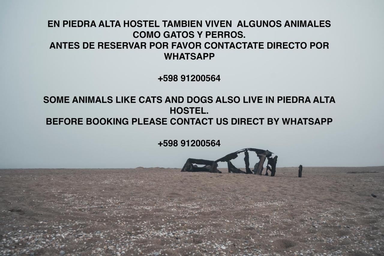 Piedra Alta Hostel & Suites لا بيدريرا المظهر الخارجي الصورة